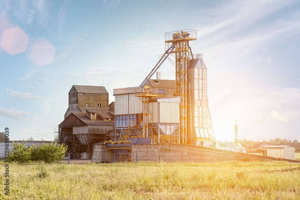 Big group of grain dryers complex for drying wheat. Modern grain silo.