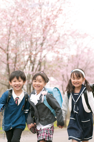 桜並木道を歩く小学生