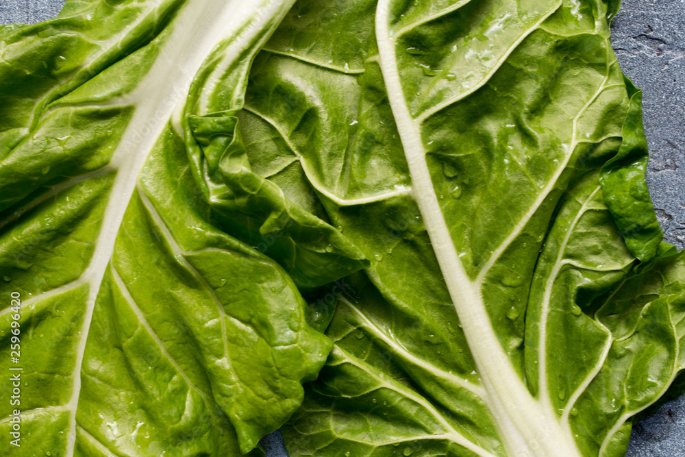 Fototapeta premium Swiss chard (Beta vulgaris) leaves full frame.