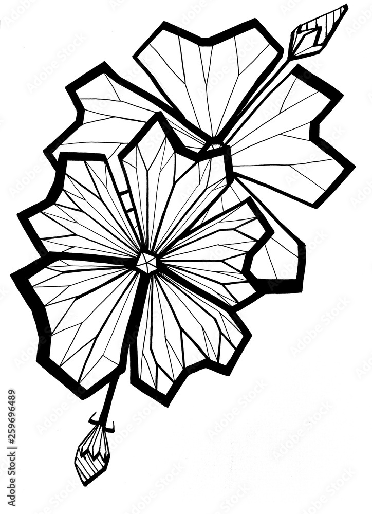 Abstract flowers, black linear drawing. Black simple hand drawn  illustration, plants isolated on white background for fabric design.  Abstract floral linear pattern. Design element collection Stock  Illustration | Adobe Stock