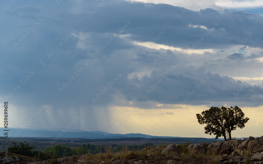 Nubes de tormenta y lluvia,  junto a un árbol, cerca de la población de San Agustín. Teruel. Aragón. España