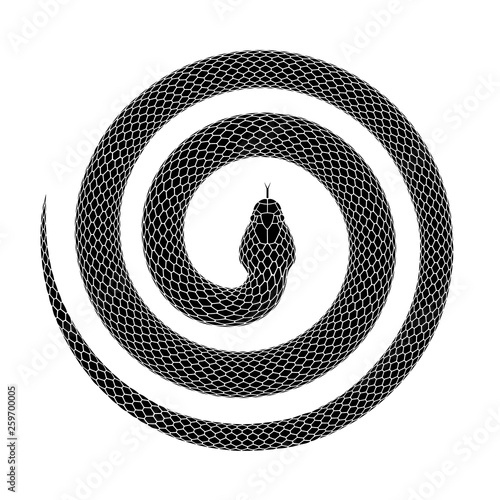 Vector tattoo design of a snake curled into a spiral shape with head in the center.