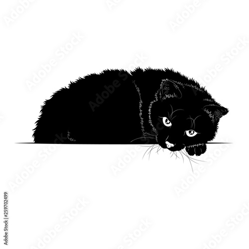 Vector illustration. Black silhouette of a recumbent cat.EPS 8