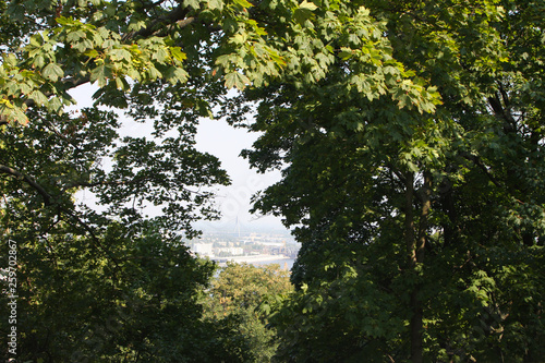 view of the city Kiev