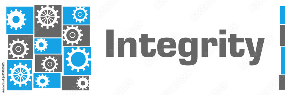 Integrity Blue Grey Gears Left Grid Integrity Blue Grey Gears Left Grid