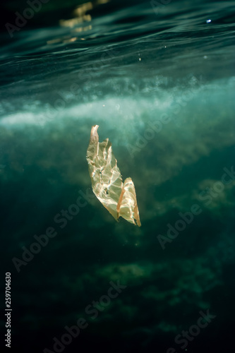 Underwater photograph of torn plastic bag floating in the sea.