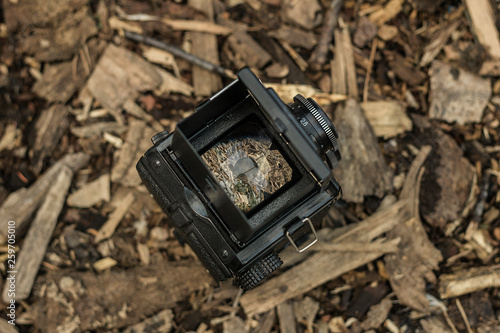 Wallpaper Mural Vintage background with retro camera Torontodigital.ca