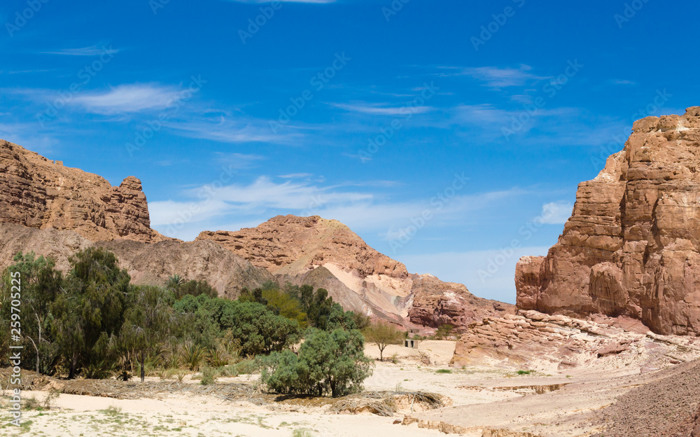 desert oasis in the middle of high rocky mountains in Egypt Dahab South Sinai desert oasis in the middle of high rocky mountains in Egypt Dahab South Sinai