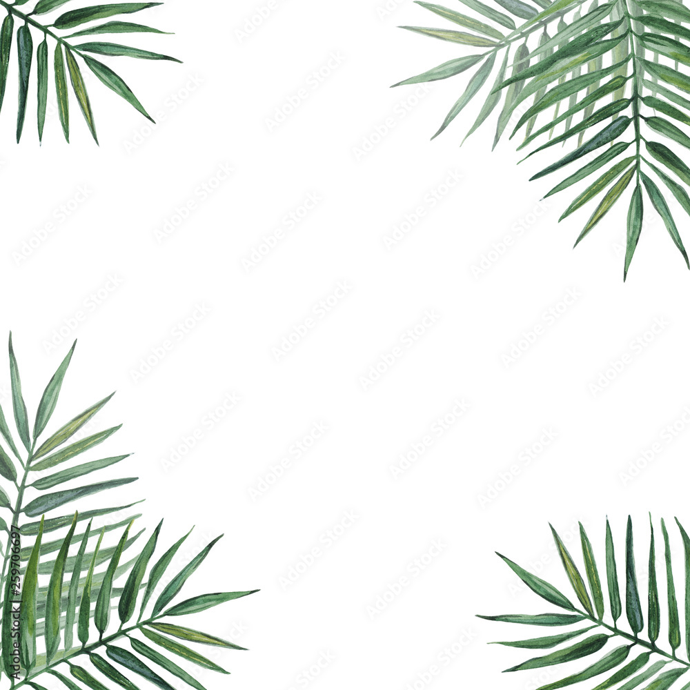 Frame with palms leaves. Watercolor illustration. Frame with palms leaves. Watercolor illustration.