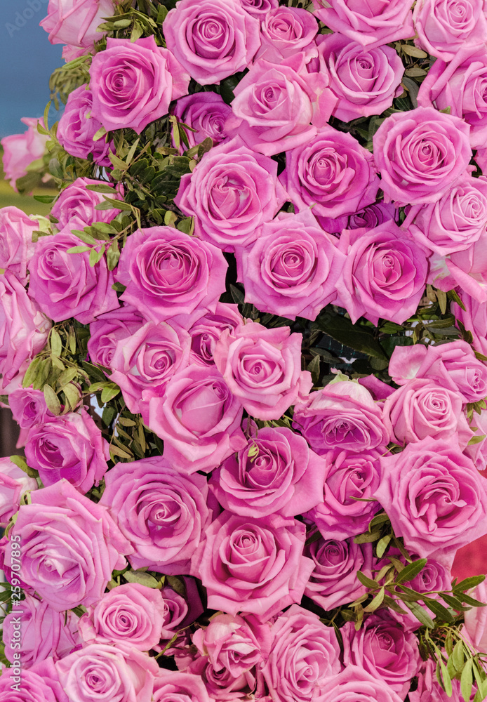decor from natural roses, decor from natural roses,