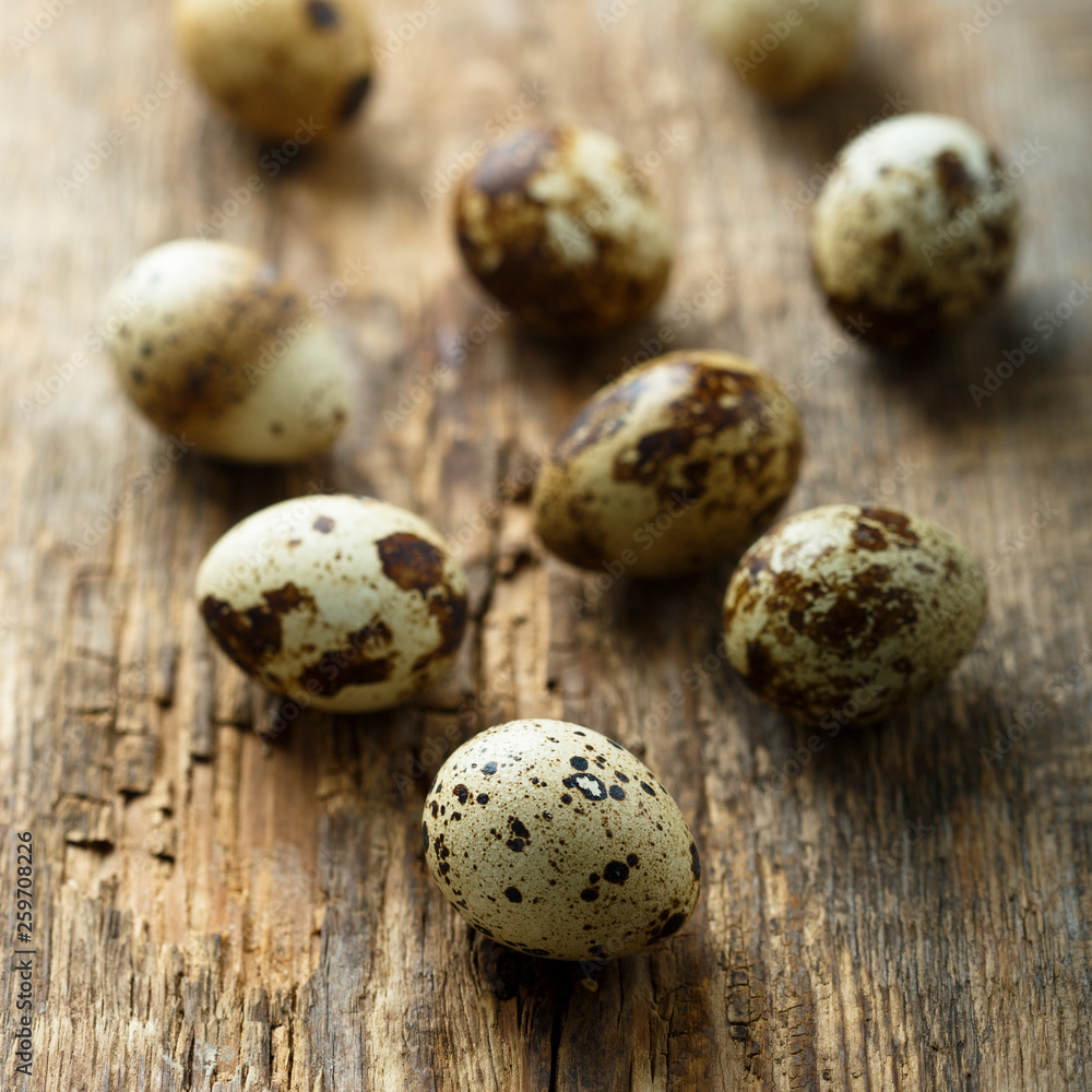 Obraz premium Organic quail eggs