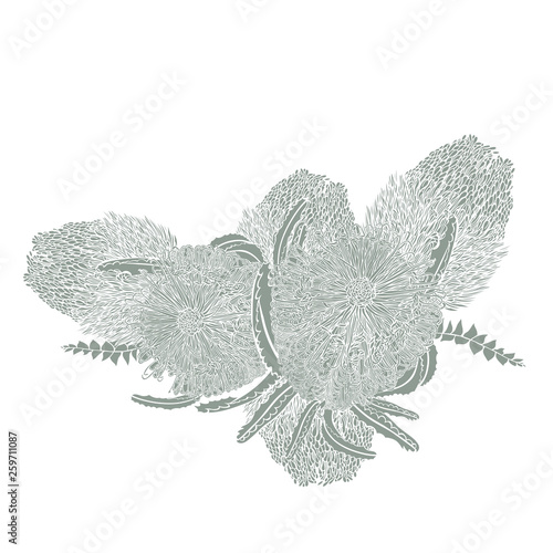 Wildflower Banksia Wreath Vector Detailed Illustration