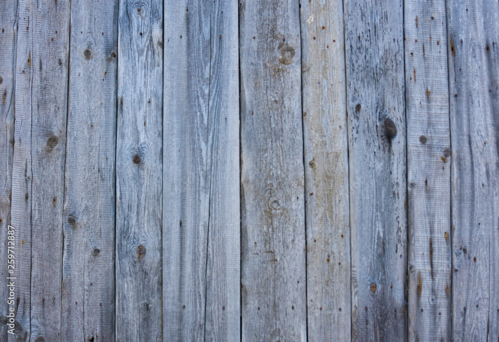 Wooden background in white and gray. Wood surface in vintage tone. Smooth light natural wood texture Wooden background in white and gray. Wood surface in vintage tone. Smooth light natural wood texture
