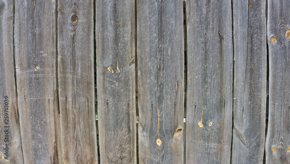 Fototapeta premium Wooden background in white and gray. Wood surface in vintage tone. Smooth light natural wood texture