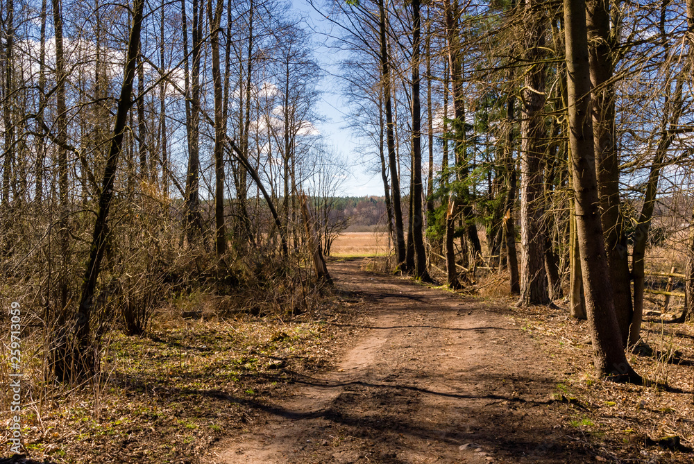 PuszczA Knyszyńska, Dolina rzeki Supraśl i Sokołda, Wiosna na Podlasiu PuszczA Knyszyńska, Dolina rzeki Supraśl i Sokołda, Wiosna na Podlasiu