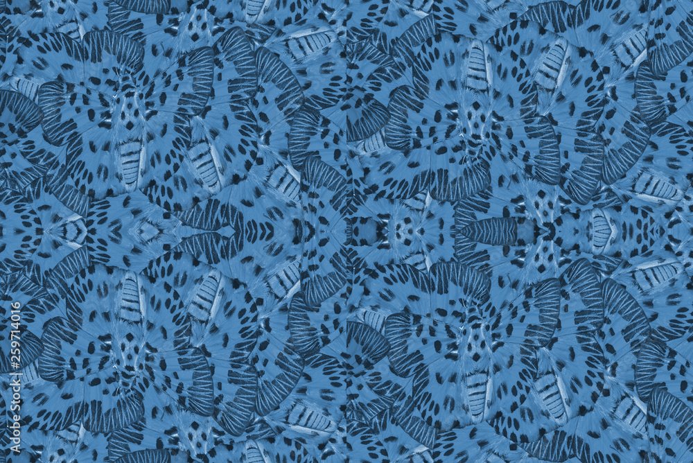 Seamless images made from butterfly wings for the background Seamless images made from butterfly wings for the background