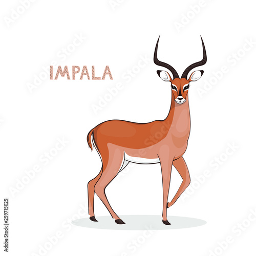 Vector illustration  a cartoon impala with long horns  isolated on a white background. Animal alphabet.