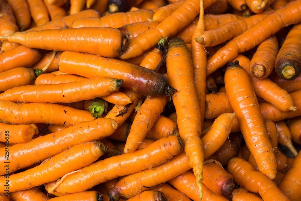Fresh organic carrots at vegetables market Fresh organic carrots at vegetables market