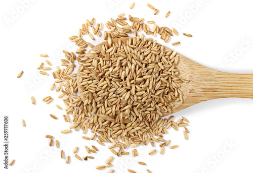 Peeled oat grains with wooden spoon isolated on white background