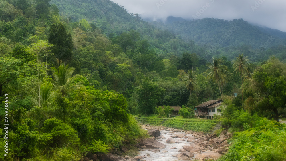 House on the river in Kiriwong