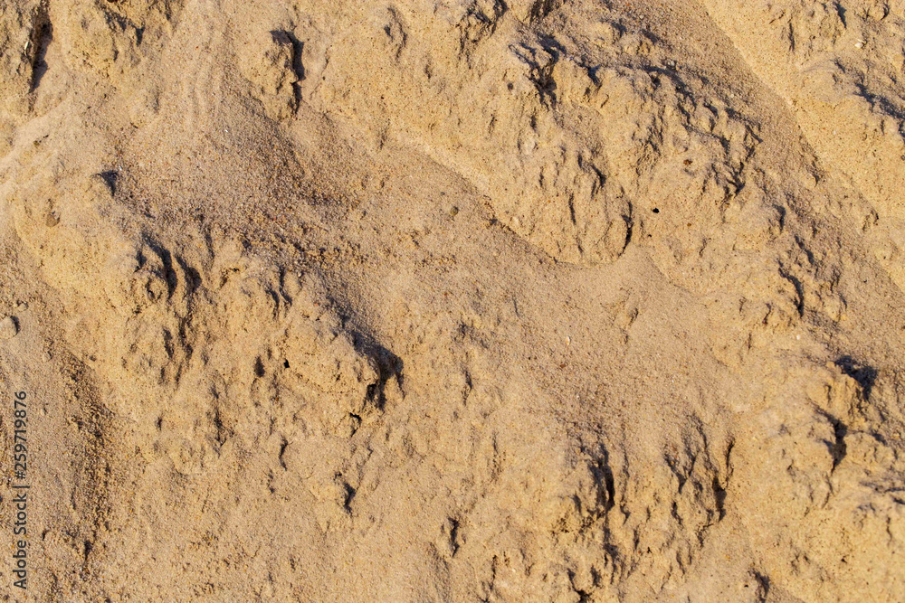 Construction sand as an abstract background Construction sand as an abstract background