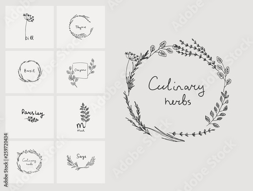 Hand drawn set of culinary herb. Basil and mint, rosemary and sage, thyme and parsley. Food design logo elements