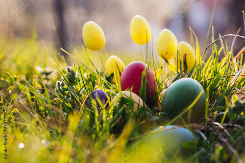 Colorful Easter eggs in the nature.