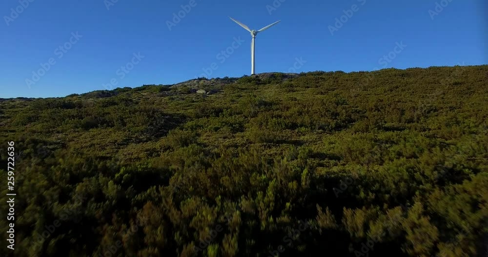 wind turbines in the field wind turbines in the field