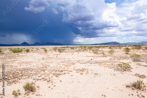 Scenic desert in summer monsoon  Texas  USA