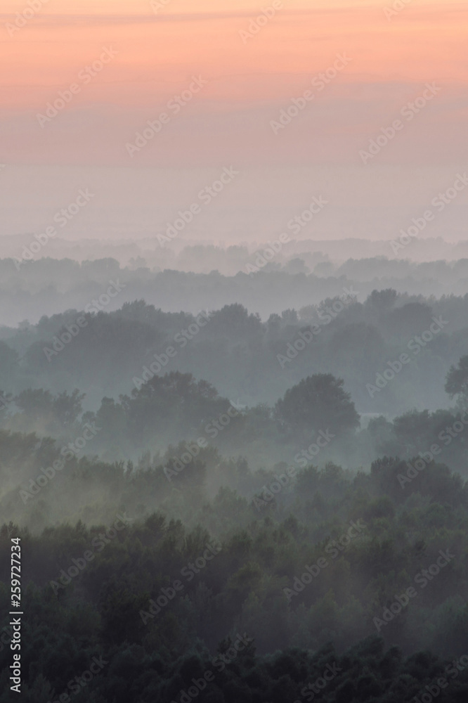 Mystical view from top on forest under haze at early morning. Eerie mist among layers from tree silhouettes in taiga under predawn sky. Morning atmospheric minimalistic landscape of majestic nature.