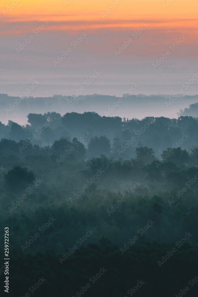 Mystical view from top on forest under haze at early morning. Mist among layers from tree silhouettes in taiga under warm predawn sky. Morning atmospheric minimalistic landscape of majestic nature. Mystical view from top on forest under haze at early morning. Mist among layers from tree silhouettes in taiga under warm predawn sky. Morning atmospheric minimalistic landscape of majestic nature.