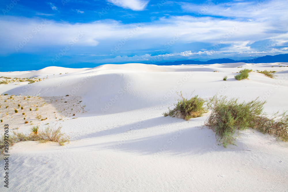 White Sands National Monument in New Mexico, USA White Sands National Monument in New Mexico, USA