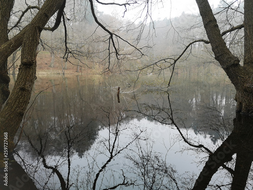 Ausblick