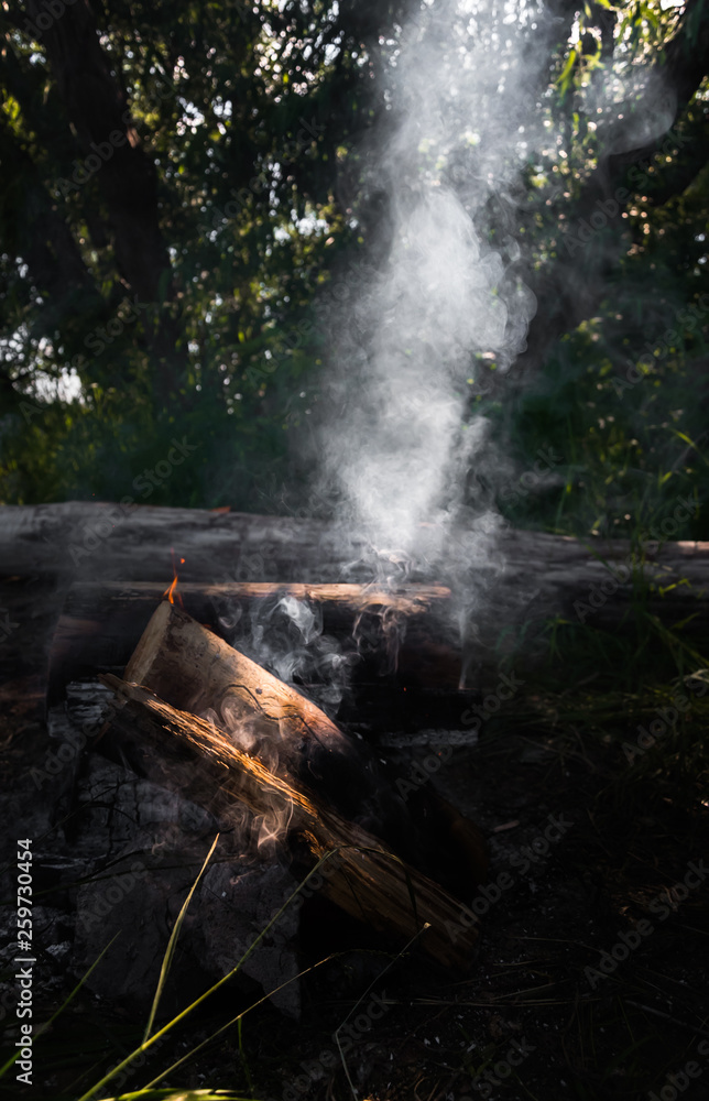Forest campfire left burning by negligent tourists, risk of forest fire, heatwave, hot summer. Forest campfire left burning by negligent tourists, risk of forest fire, heatwave, hot summer.