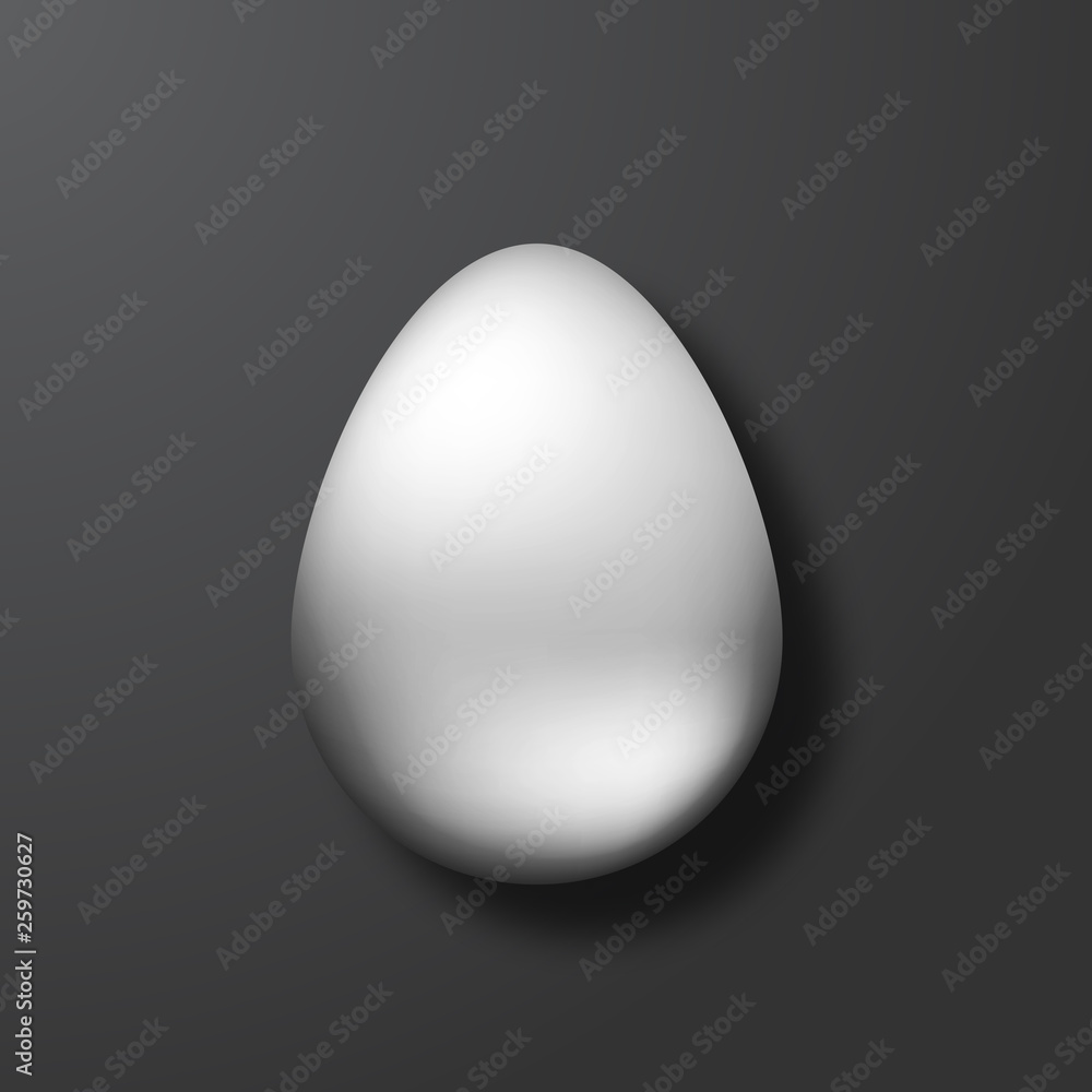 Silver egg on the black background. Realistic top view on the 3d object. Easter card in modern design. Vector illustration for holiday. Silver egg on the black background. Realistic top view on the 3d object. Easter card in modern design. Vector illustration for holiday.