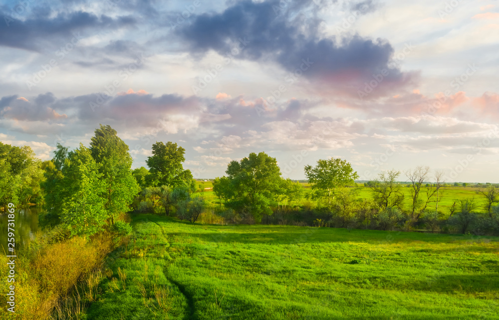 green fields at the evening, natural summer background