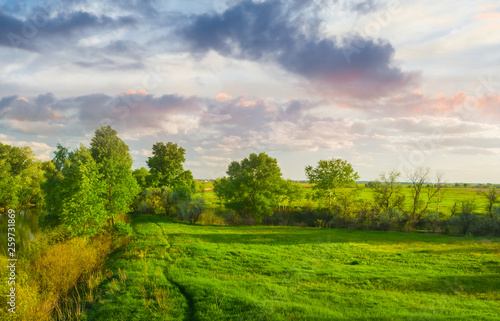 green fields at the evening, natural summer background
