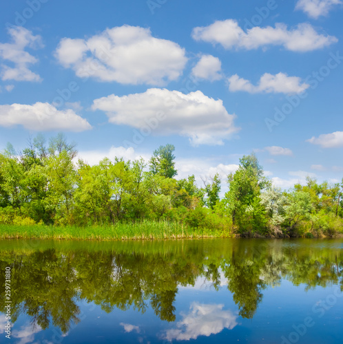 beautiful summer river landscape