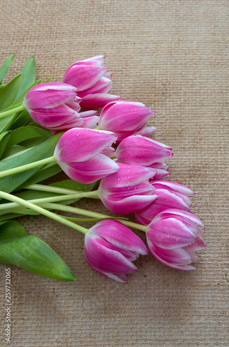 Fototapeta Naklejka Na Ścianę i Meble -  Bouquet of tulips on brown cloth Background.Spring greeting card.