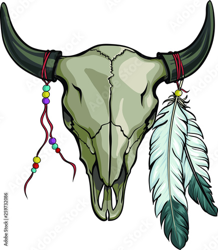Hand drawn buffalo skull with feather. Native American bull skeleton vector illustration.