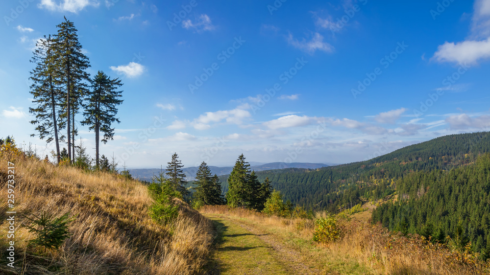 Landschaft im Mittelgebirge Thüringer Wald