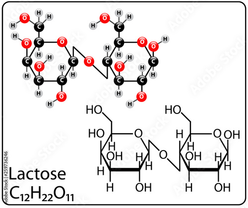 Lactose Molecule Structure