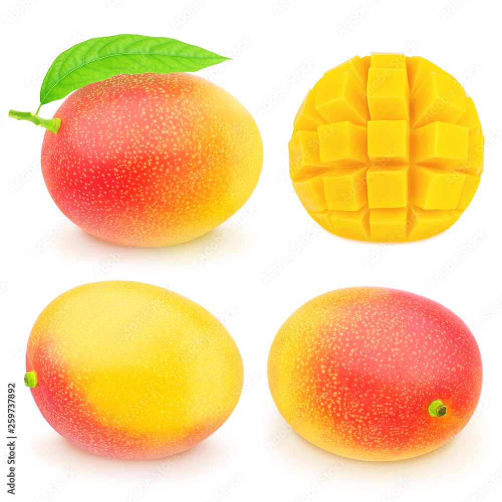 Set of juicy mangoes isolated on a white.