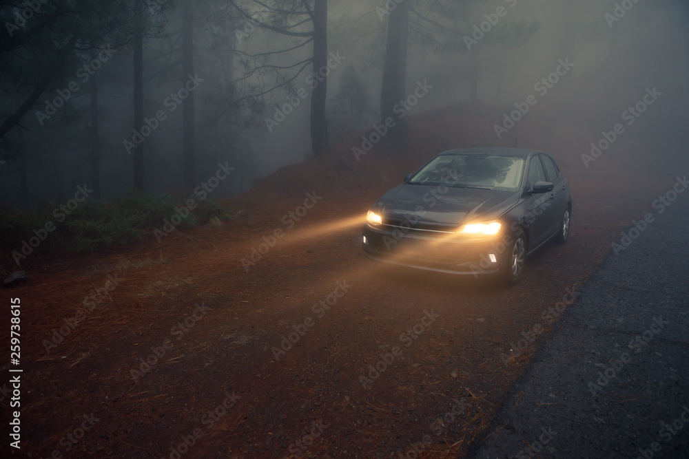 car headlight beams in dense mist