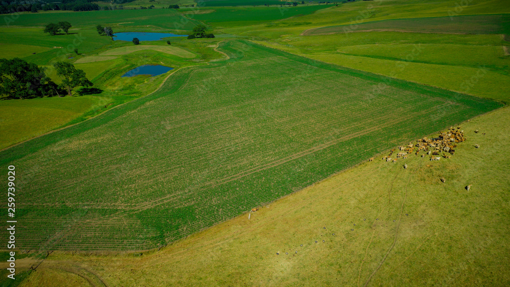 Arial view of farmland in South Africa