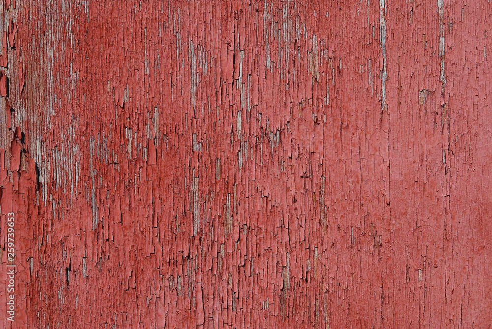 Obraz premium old wood background