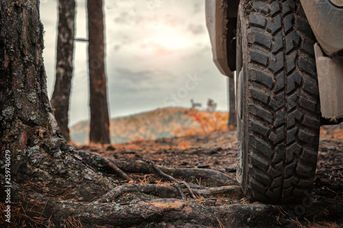 mud tire travel close-up