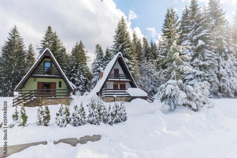 mountain houses during snow season. 