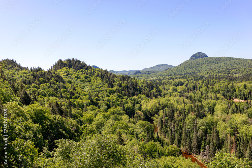 Obraz premium Green valleys of the Diable River sector of Mont Tremblant National Park, in summer