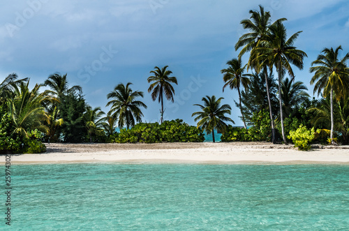 Traumhafter Strand auf den Malediven mit Palmen und türkisem Meer 